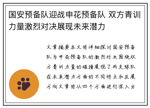国安预备队迎战申花预备队 双方青训力量激烈对决展现未来潜力
