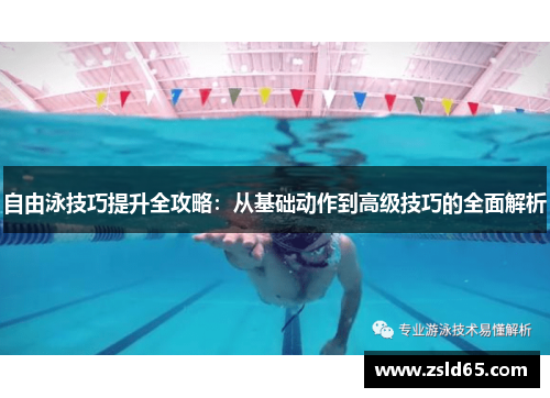 自由泳技巧提升全攻略：从基础动作到高级技巧的全面解析