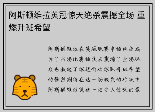 阿斯顿维拉英冠惊天绝杀震撼全场 重燃升班希望